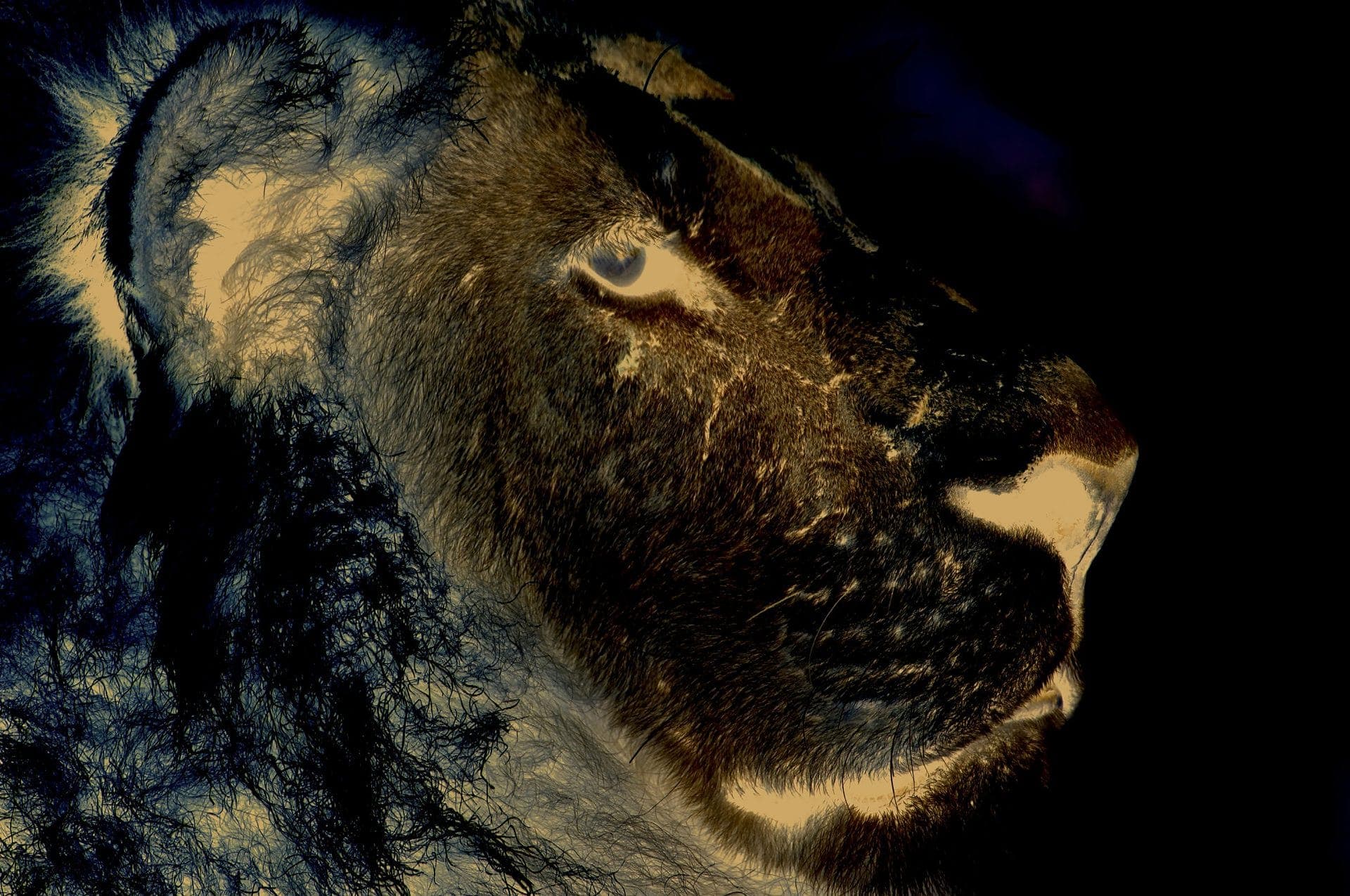 Leo Sapience LOTB 1920 pix