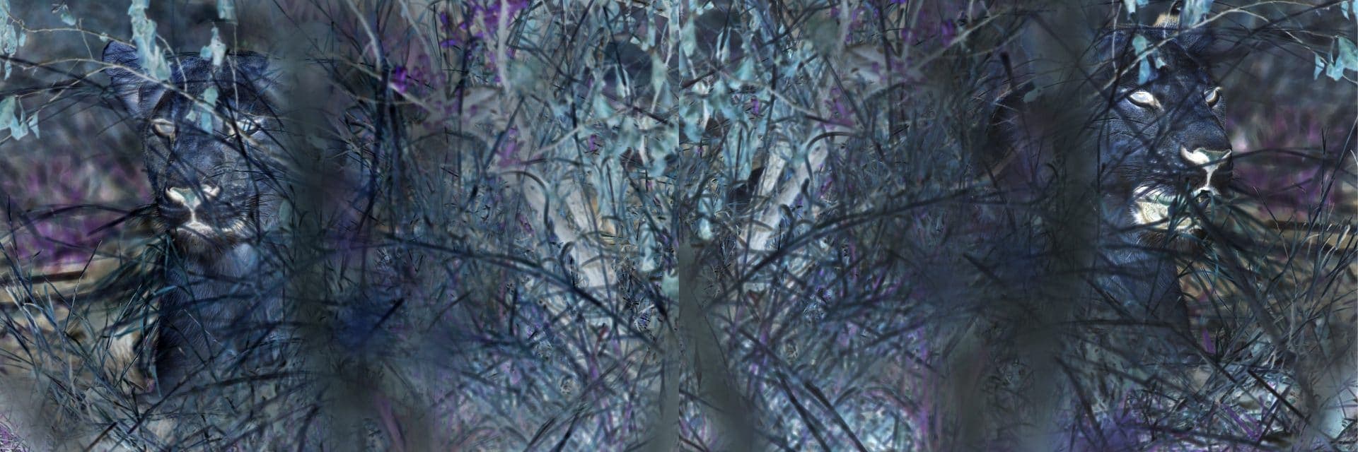 Psychodelic Diversion LOTB 1920 pix