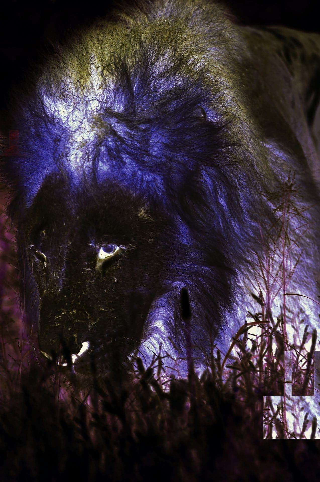 The Beast LOTB 1920 pix