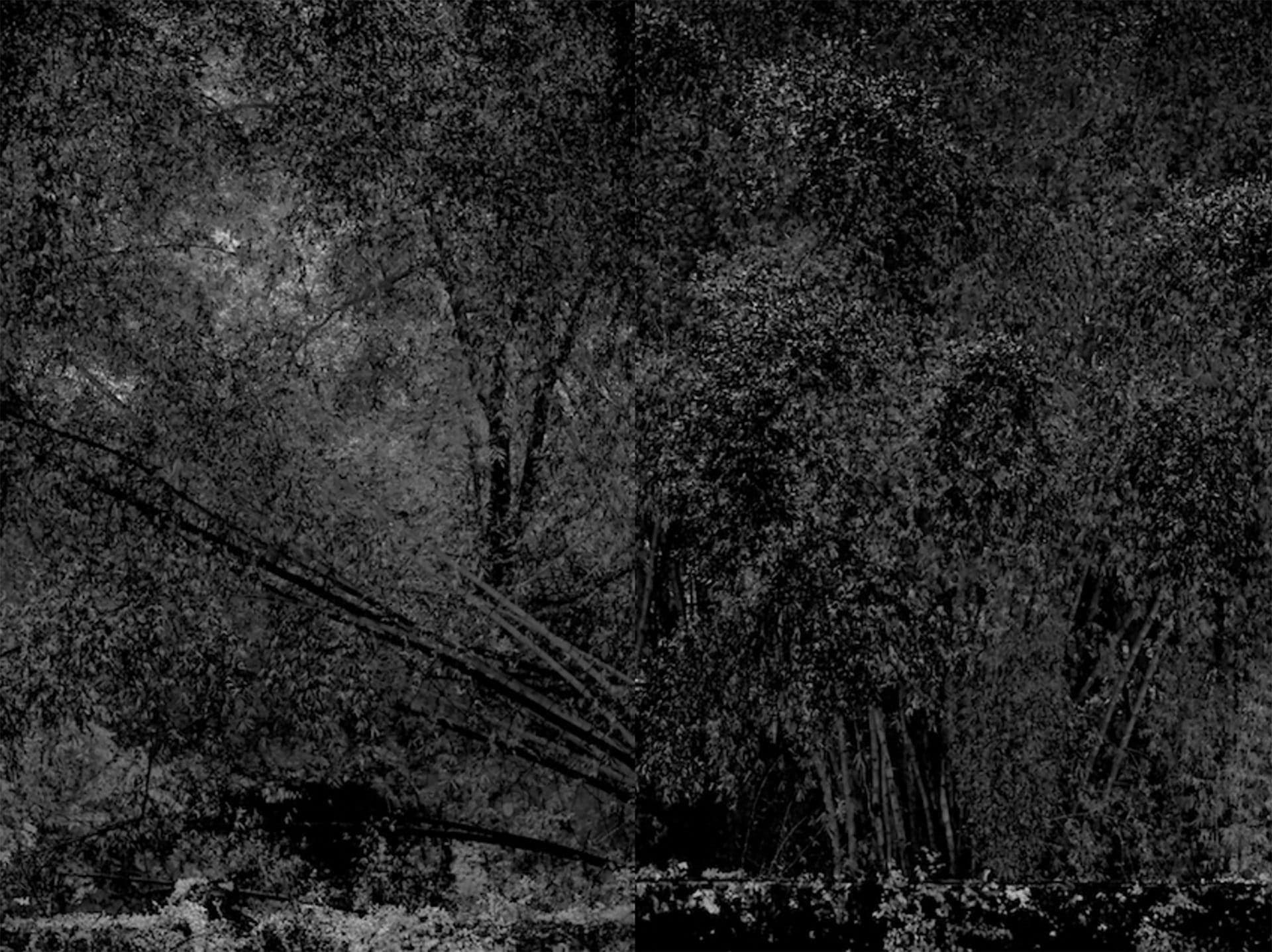 White Noise 2