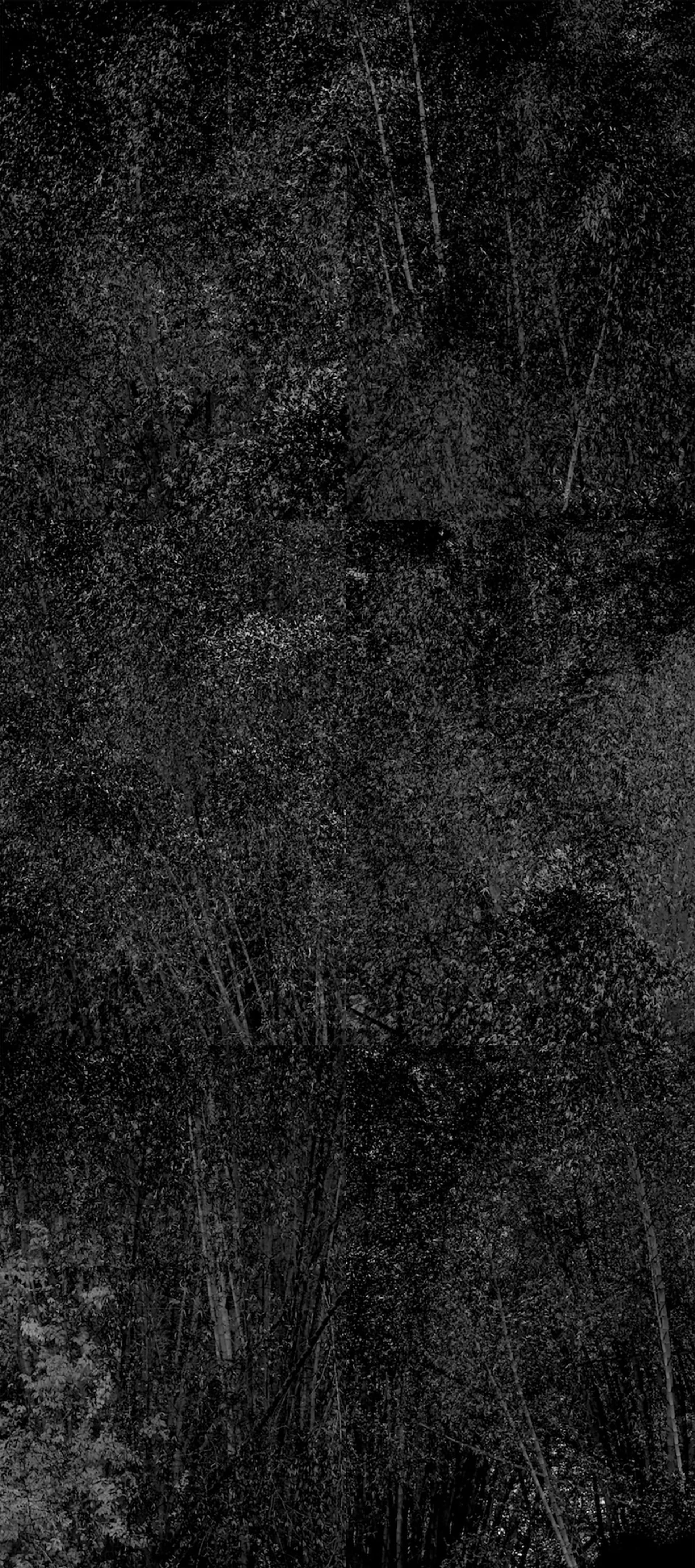 White Noise 6V