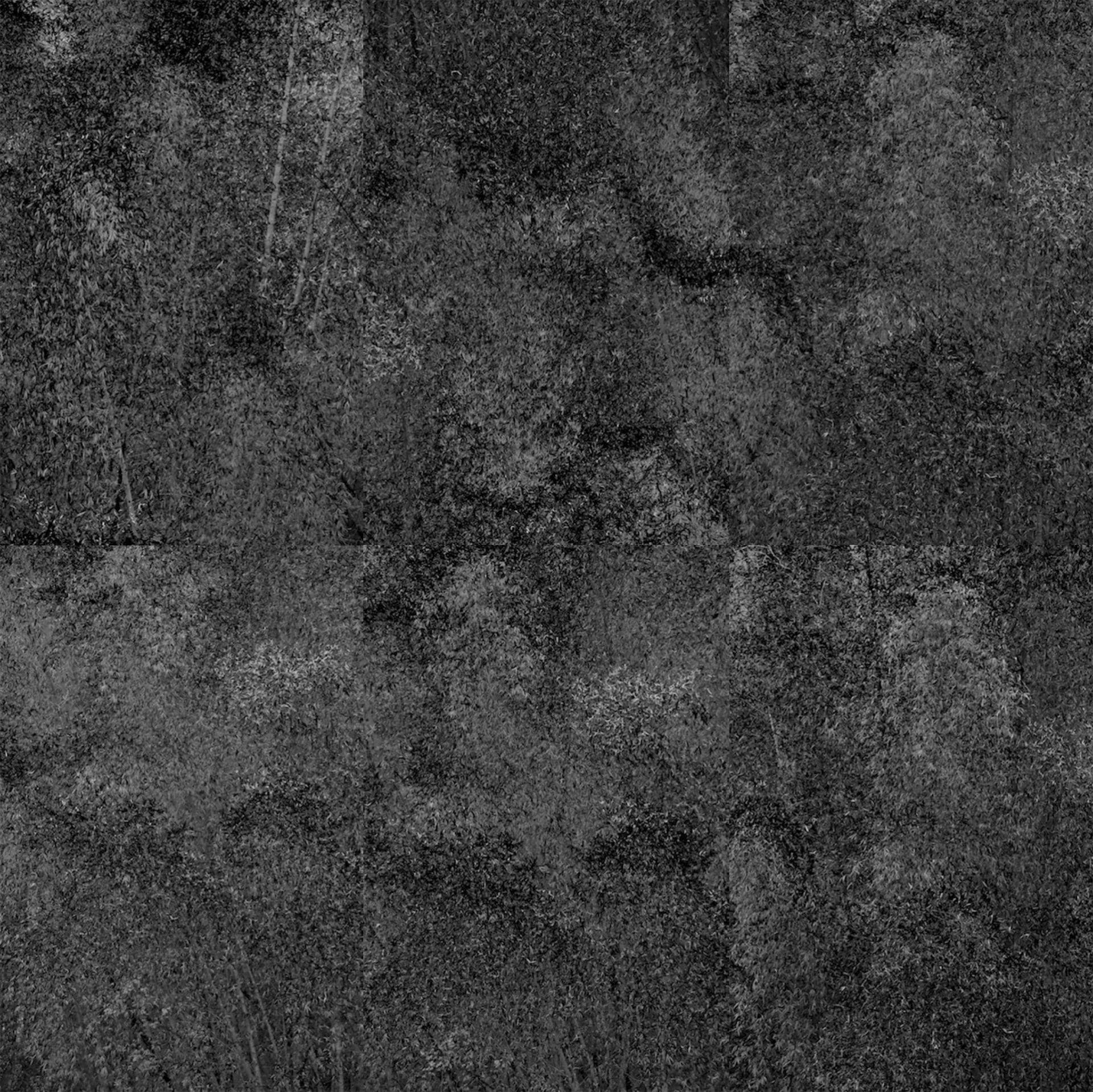 White Noise